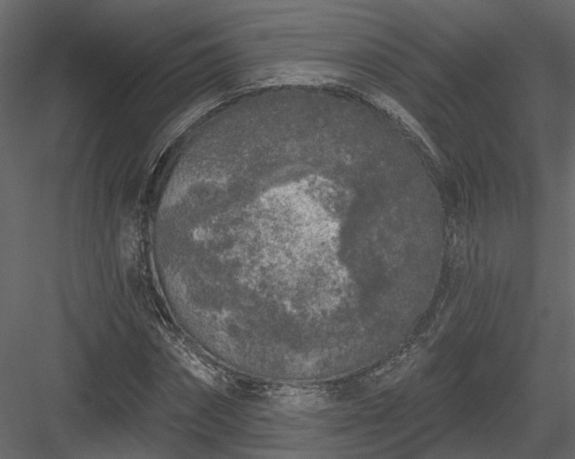 X0000083990874200702232108