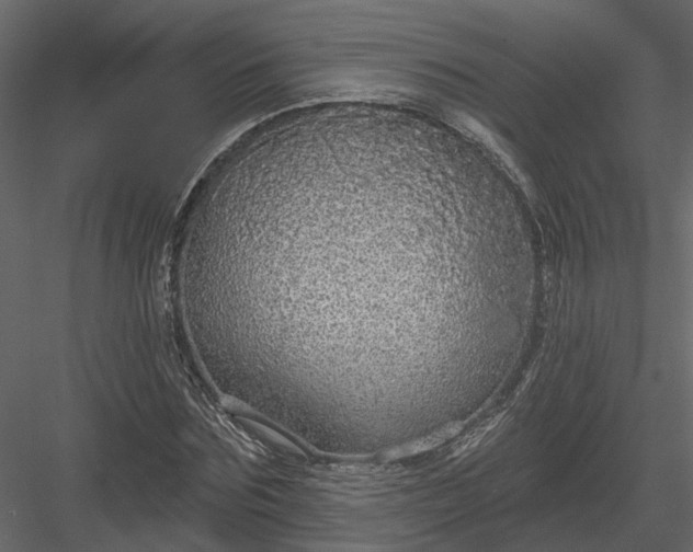 X0000083990875200702232108