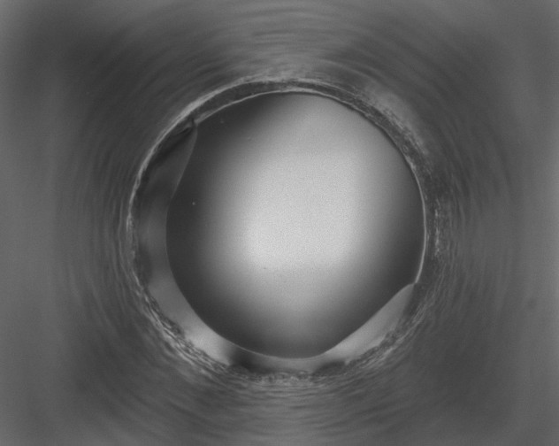 X0000083990876200702232108