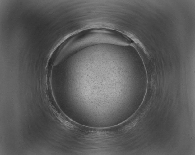 X0000083990877200702232108