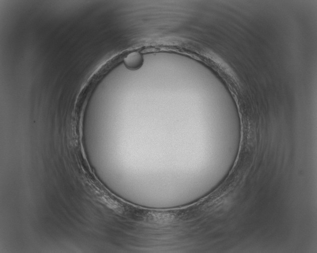 X0000083990878200702232108