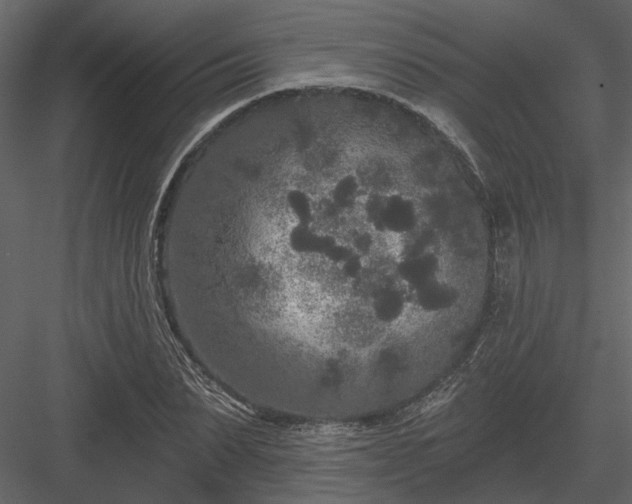 X0000083990879200702232108