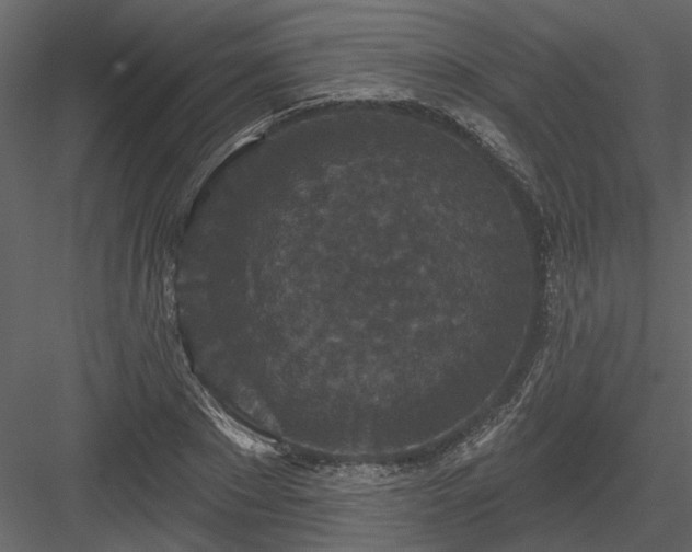 X0000083990881200702232108