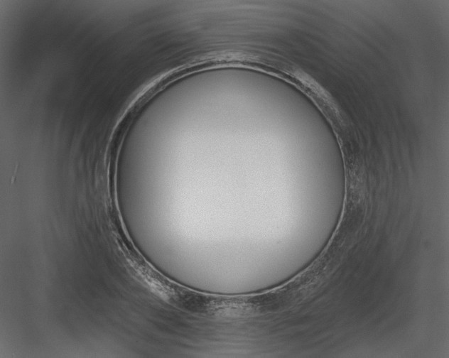 X0000083990886200702232108