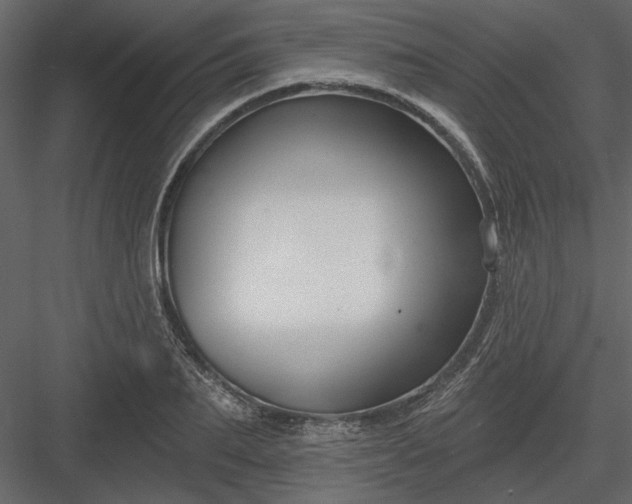 X0000083990887200702232108