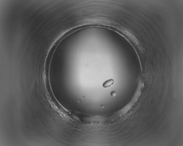 X0000083990888200702232108