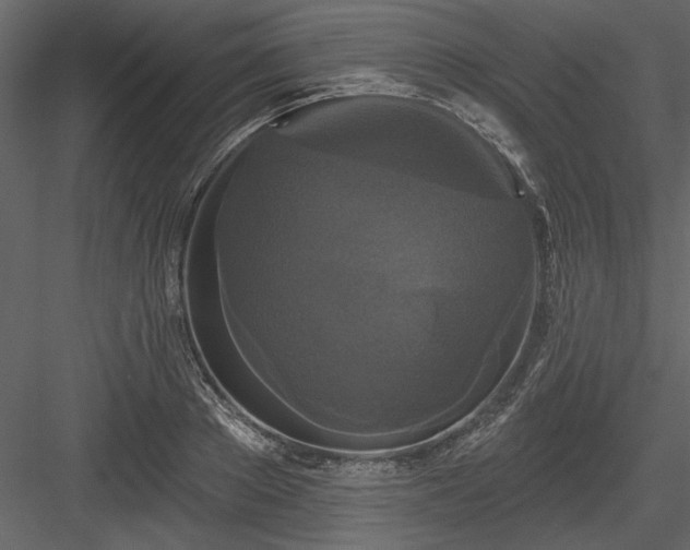 X0000083990889200702232108