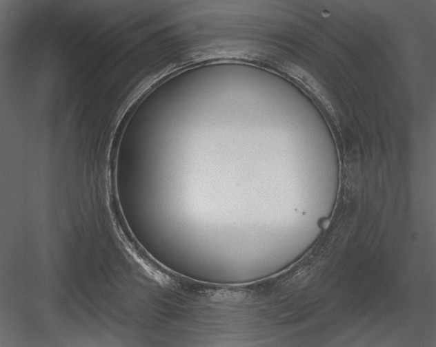 X0000083990890200702232108