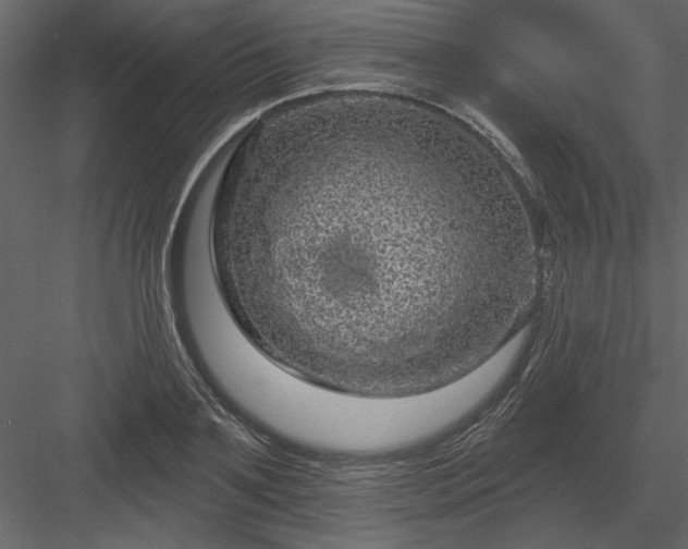 X0000083990891200702232108