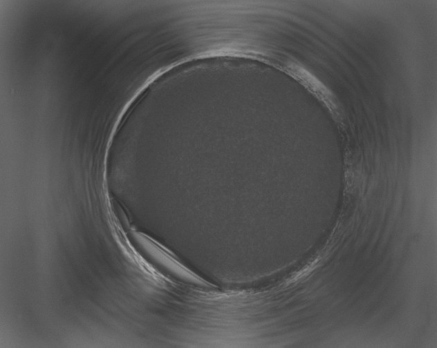 X0000083990892200702232108