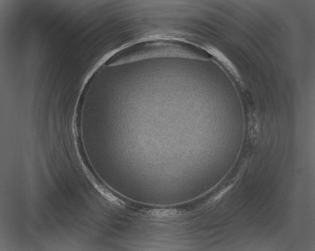 X0000083990893200702232108