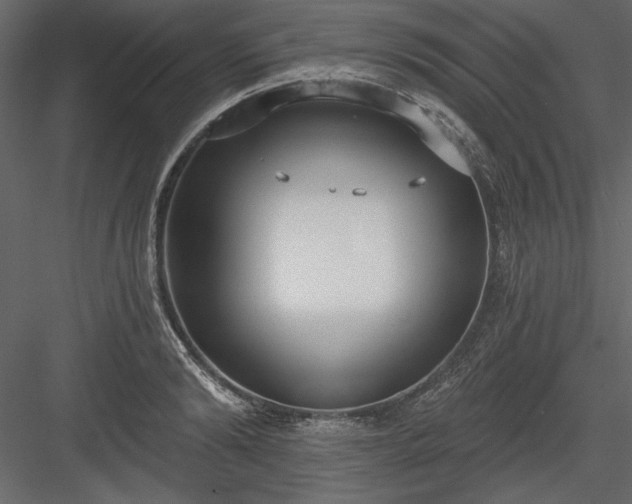 X0000083990894200702232108