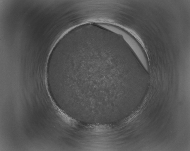 X0000083990895200702232108