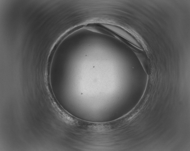 X0000083990896200702232108