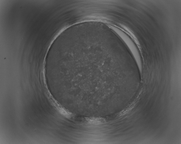 X0000083990899200702232108