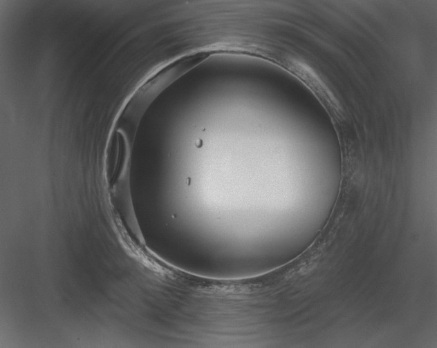 X0000083990900200702232108