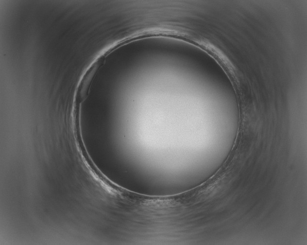 X0000083990902200702232108