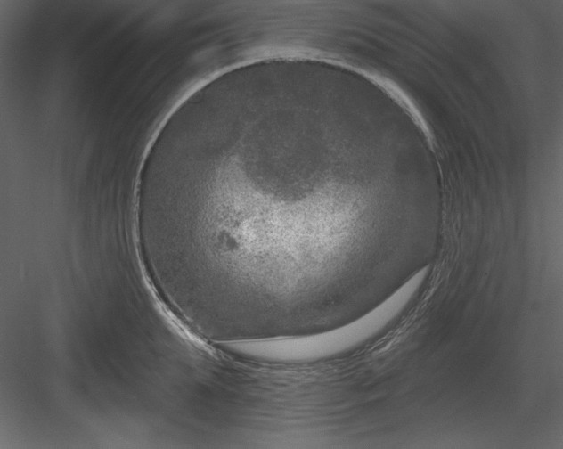 X0000083990903200702232108