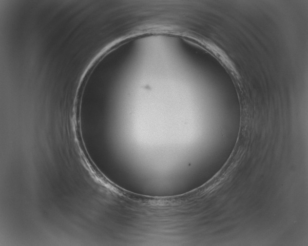 X0000083990904200702232108