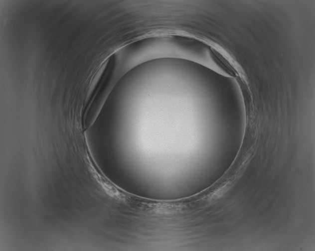 X0000083990905200702232108