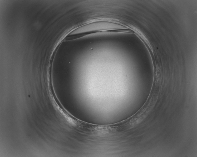 X0000083990906200702232108