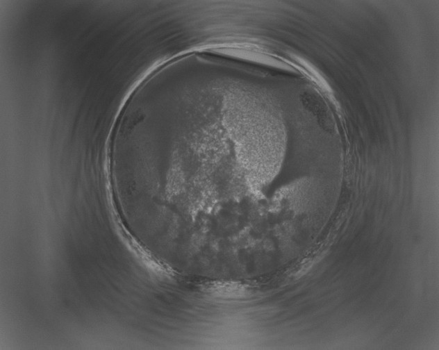 X0000083990907200702232108