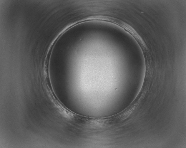 X0000083990908200702232108