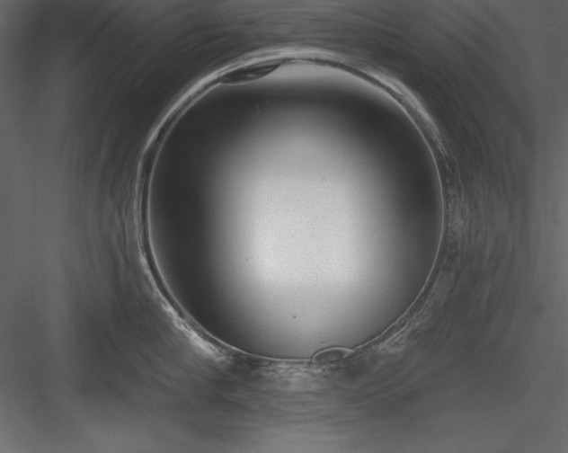 X0000083990910200702232108