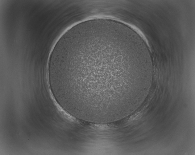 X0000083990911200702232108