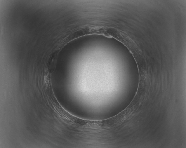 X0000083990914200702232107