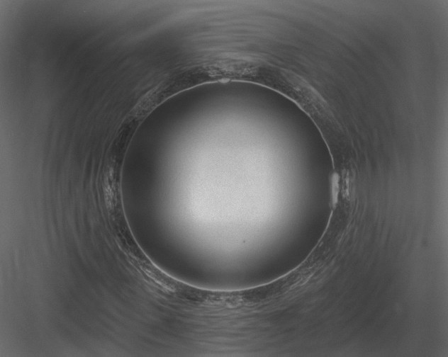 X0000083990915200702232107