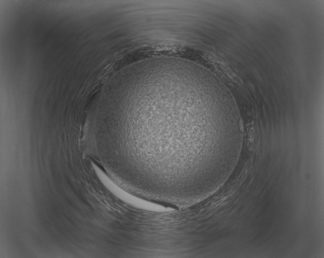 X0000083990916200702232107