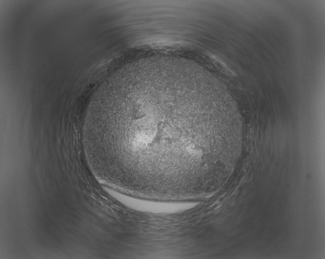 X0000083990917200702232107