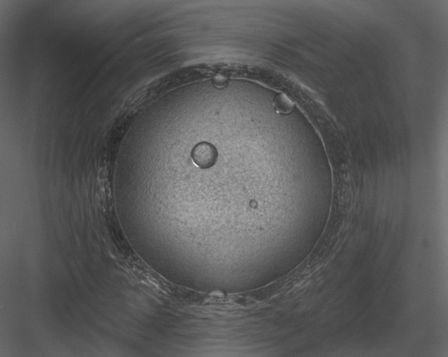 X0000083990918200702232107