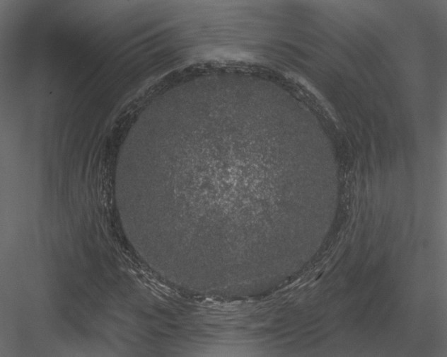 X0000083990919200702232107