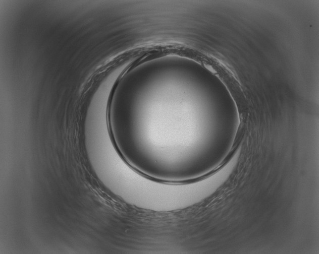 X0000083990920200702232107