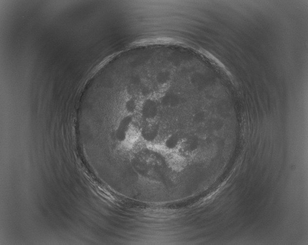 X0000083990921200702232107