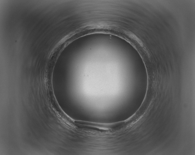 X0000083990922200702232107