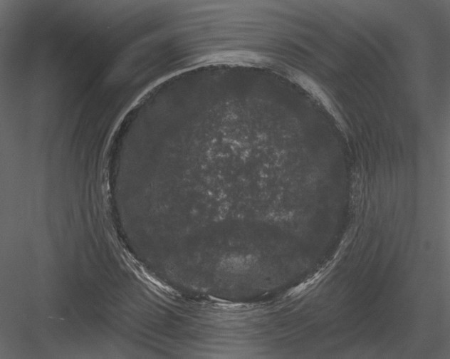 X0000083990923200702232107