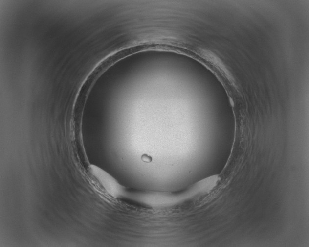 X0000083990924200702232107