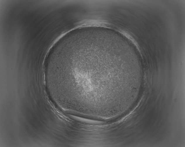 X0000083990925200702232107