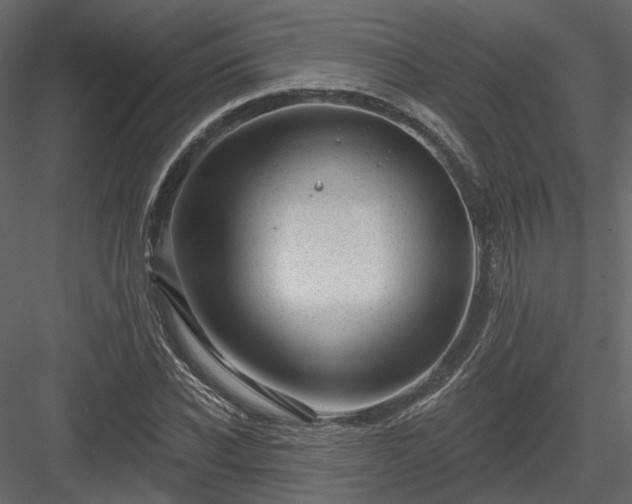 X0000083990926200702232107