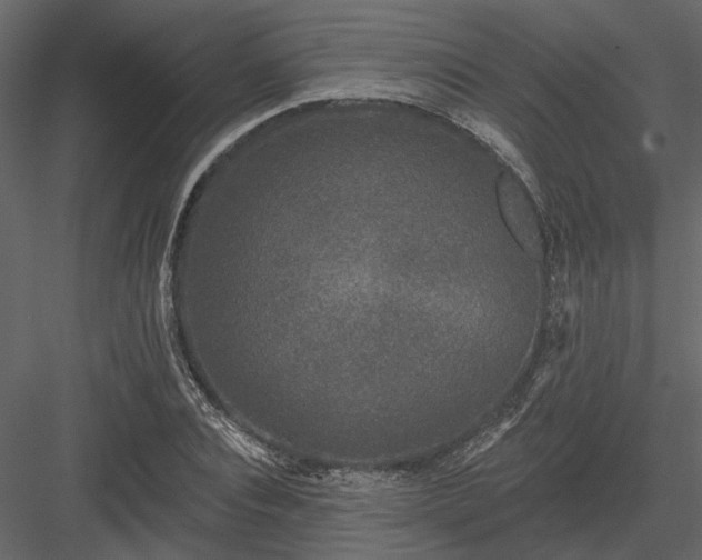 X0000083990928200702232107