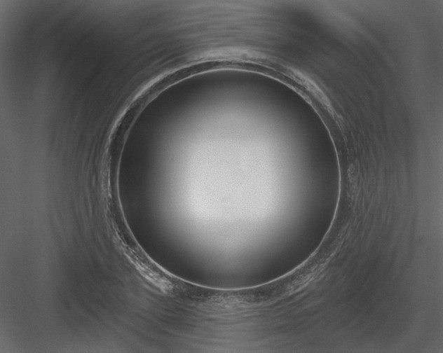 X0000083990931200702232107