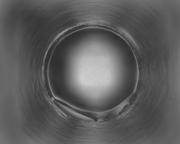 X0000083990932200702232107