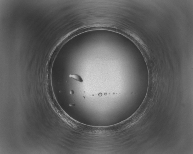 X0000083990933200702232107