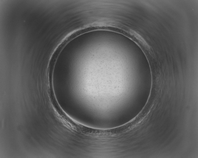 X0000083990934200702232107