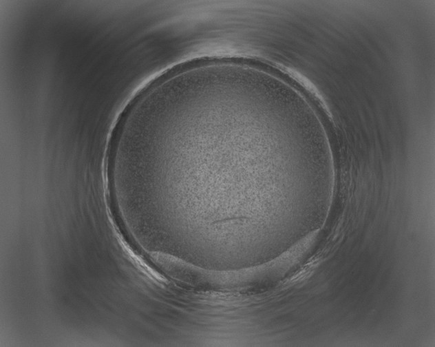 X0000083990935200702232107