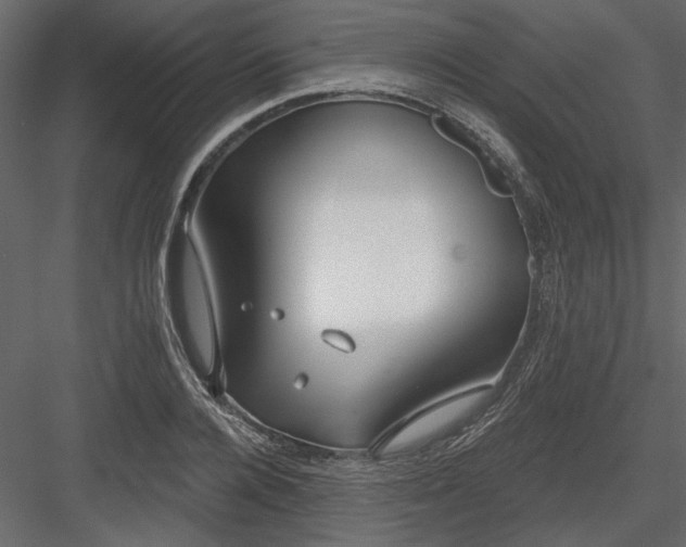 X0000083990936200702232107