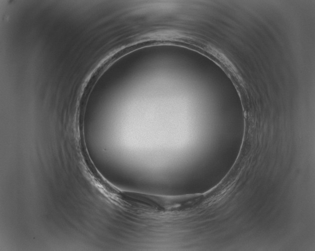 X0000083990939200702232107